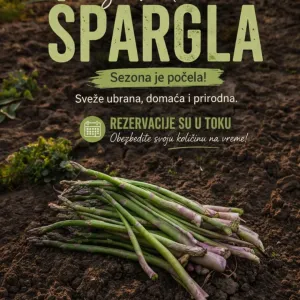 Sveža Špargla
