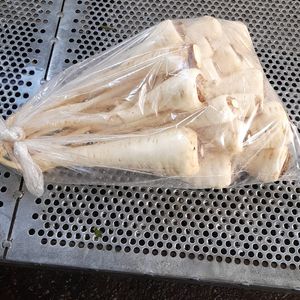 Persun koren i pastrnak