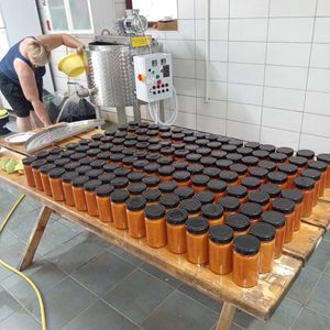 Domaći Džemovi sa minimalnim procentom šećera 